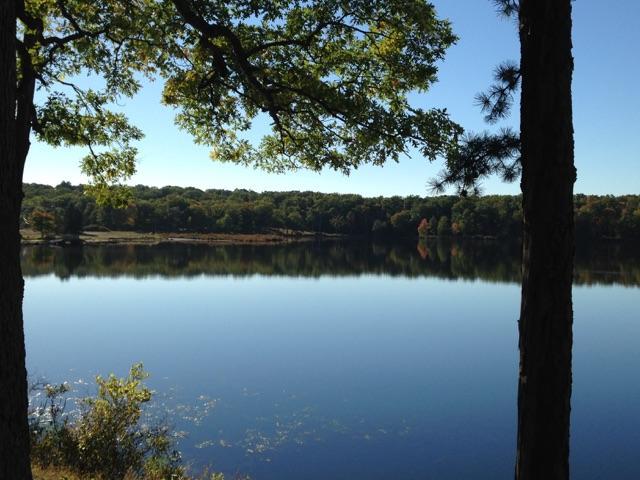 Eagle Village Resort&Chalet Bushkill Esterno foto