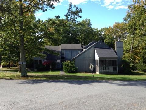 Eagle Village Resort&Chalet Bushkill Esterno foto